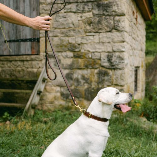 Clayton Crume Leather Dog Leads EDIT 20